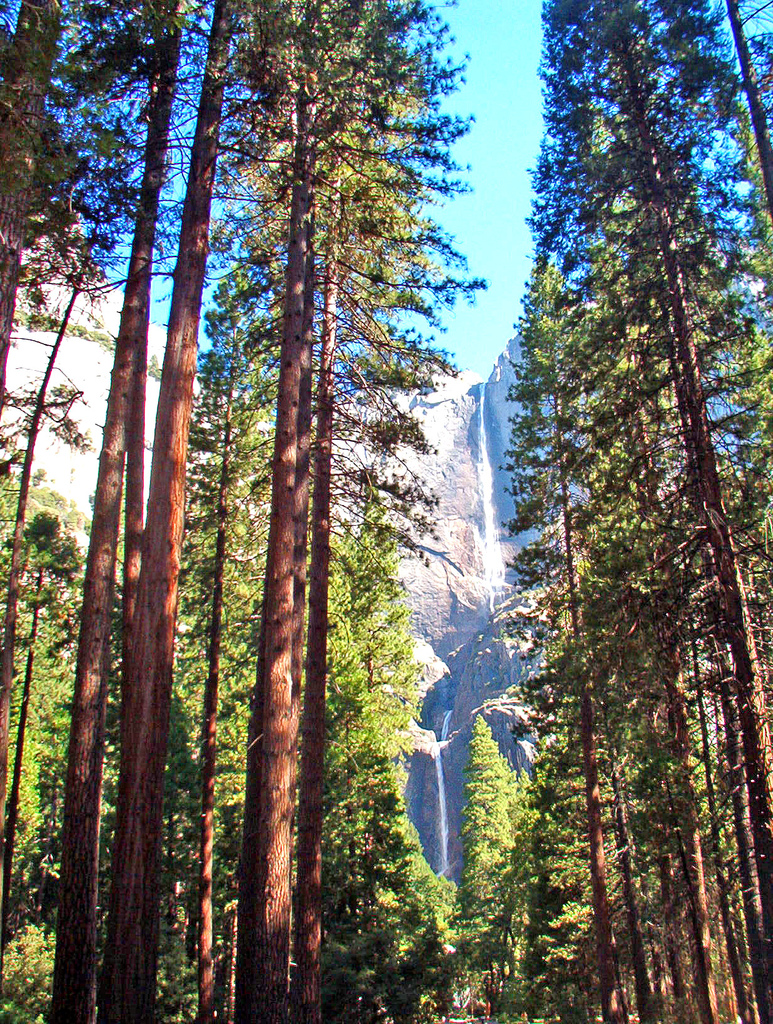 Vibrations Flow From Sahasrara