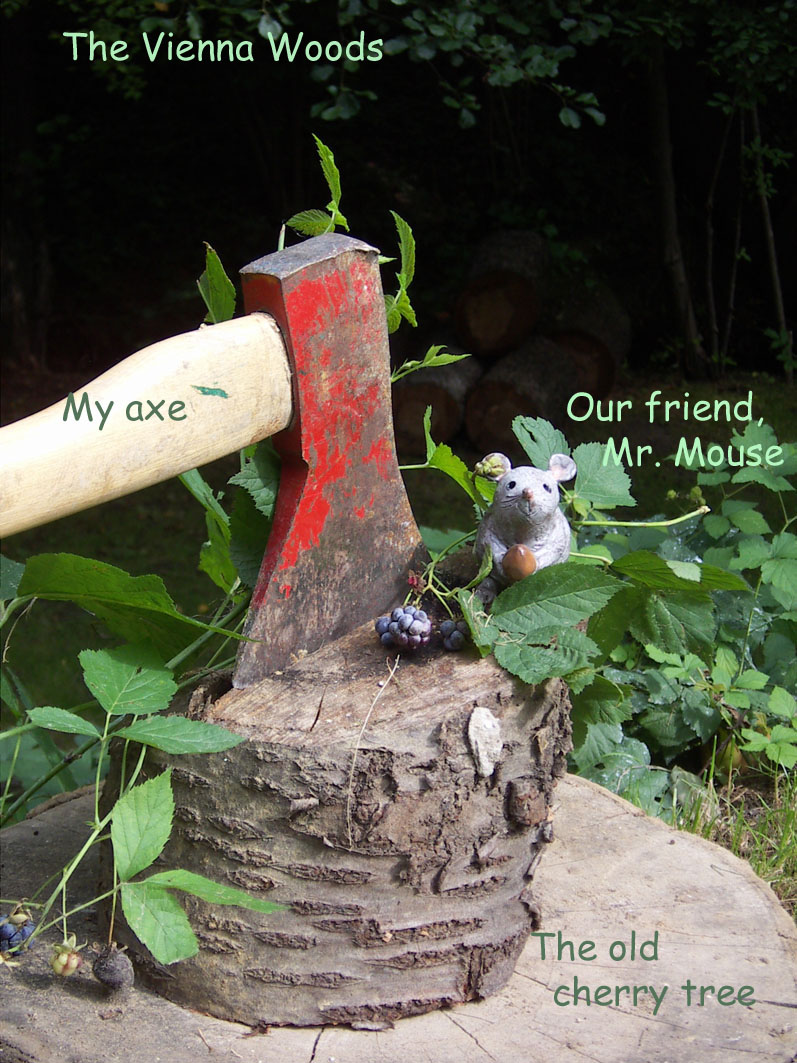 out back in the Vienna Woods