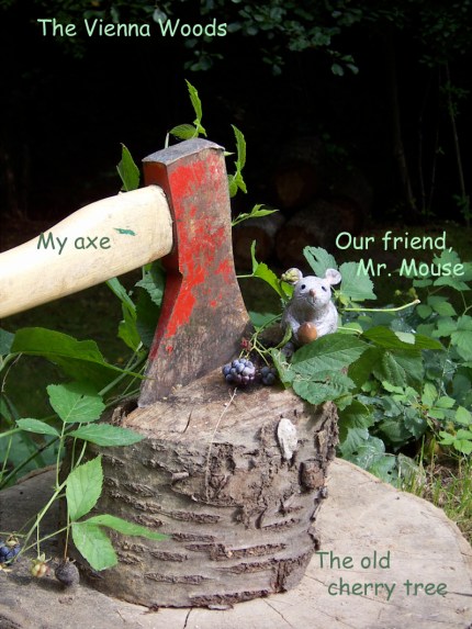 out back in the Vienna Woods