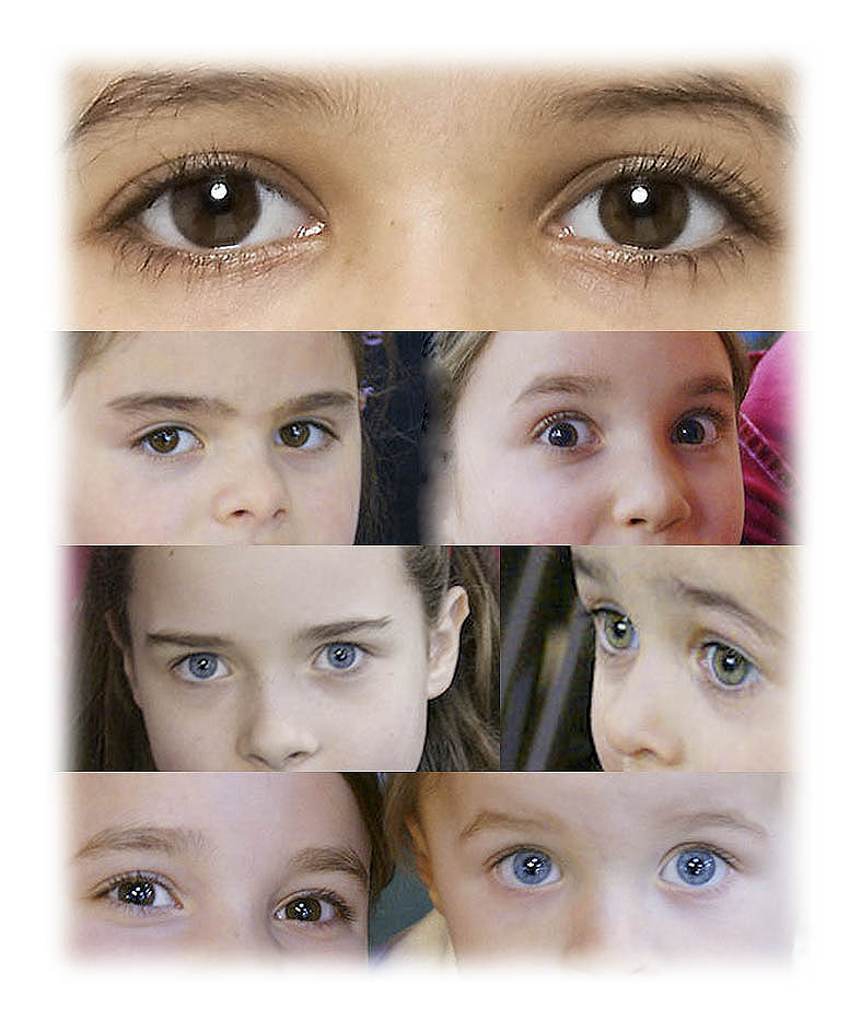 Windows to Innocence