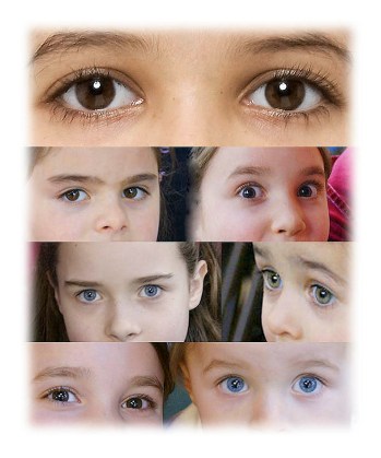 Windows to Innocence