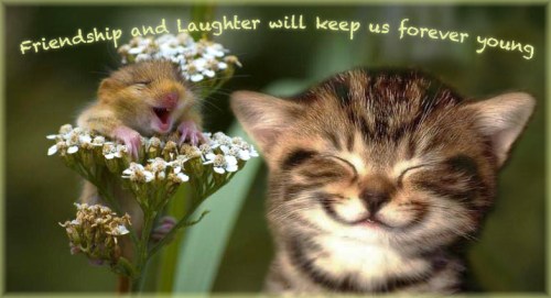friendship and laughter