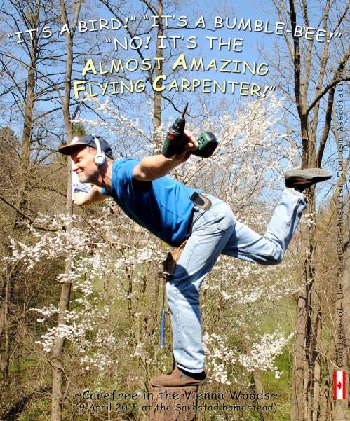 The Amost Amazing Flying Carpenter