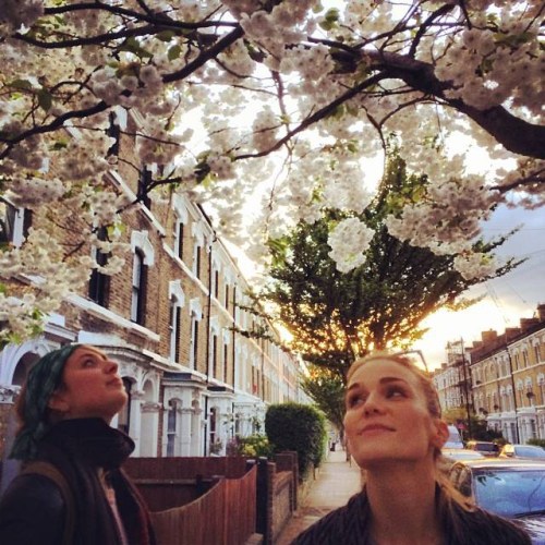 two-girls-with-blossoms-above